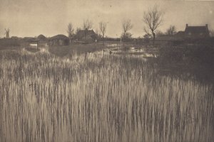 Una orilla rústica
