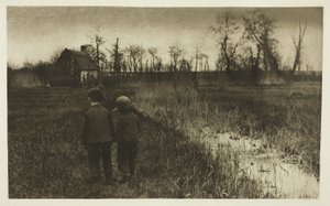 Un Sapo en el Camino: Primavera Temprana en Norfolk de Peter Henry Emerson