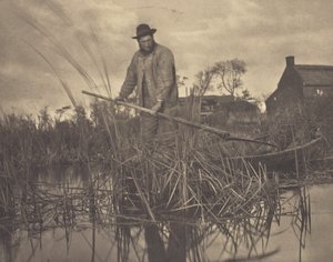 Cortar el Gladdon de Peter Henry Emerson