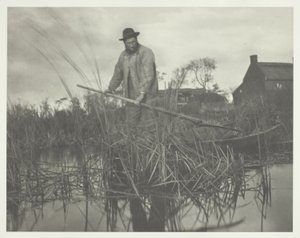 Cortar el Gladdon de Peter Henry Emerson