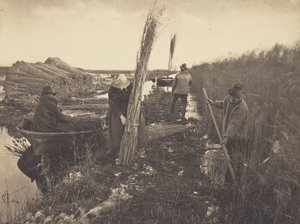  de Peter Henry Emerson