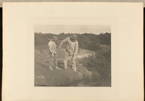 AnguilaRecogida en aguas de Suffolk de Peter Henry Emerson