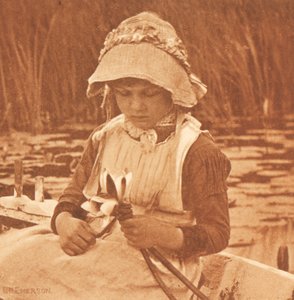 Blumen des Sees de Peter Henry Emerson