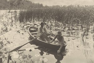Recogida de nenúfares de Peter Henry Emerson