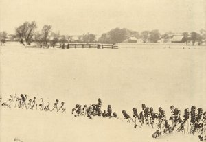 Maleza de los pantanos, en 1895 o antes (foto)