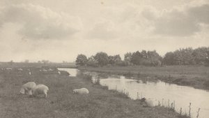 En el río Bure,1886 (foto)