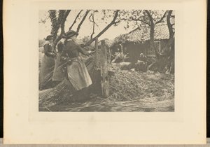 MimbrePeeling. [Norfolk]].