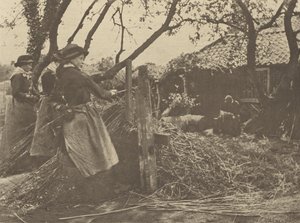 MimbrePeeling. [Norfolk]].
