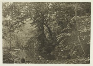 "Pike Pool" (desde abajo) de Peter Henry Emerson