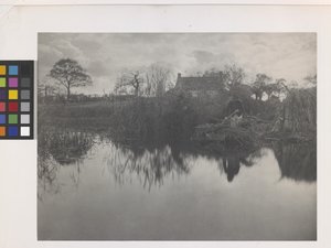 Quanting The Gladdon (impresión en platino sobre soporte original) de Peter Henry Emerson