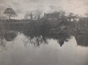 Cuantificación del Gladdon de Peter Henry Emerson