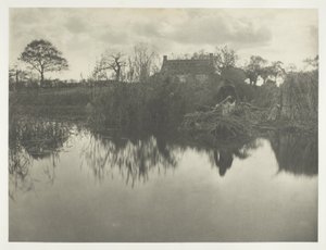 Cuantificación del Gladdon de Peter Henry Emerson
