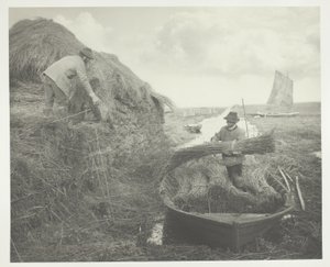 Apilando el junco de Peter Henry Emerson