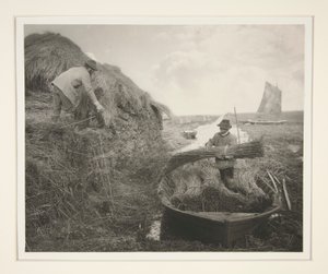 rockeando en el arrecife de Peter Henry Emerson