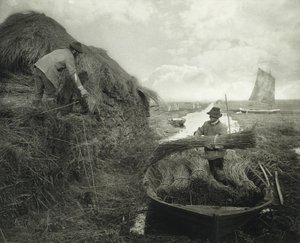 Cosechando el junco, c.1885
