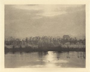 Cristales de Escarcha de Peter Henry Emerson