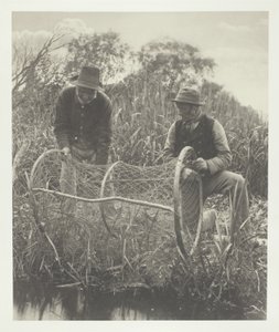 Montaje de la red de proa de Peter Henry Emerson