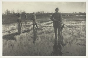 Snipe-Shooting de Peter Henry Emerson