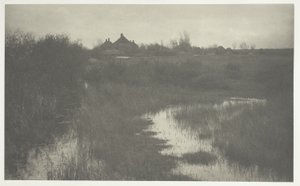 La orilla del pantano