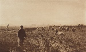 Los Pantanos en Junio de Peter Henry Emerson