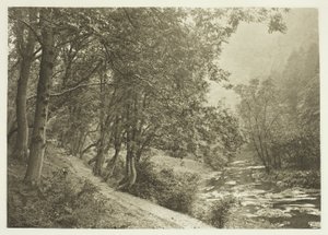 El camino sobre The First Brae, Dove Dale de Peter Henry Emerson