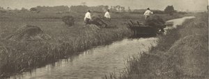 La cosecha de juncos de Peter Henry Emerson