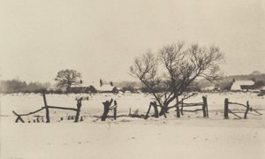 Los Pantanos Nevados