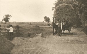 La riqueza de las marismas de Peter Henry Emerson