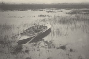 Artillero trabajando con aves de Peter Henry Emerson and T.F. Goodall