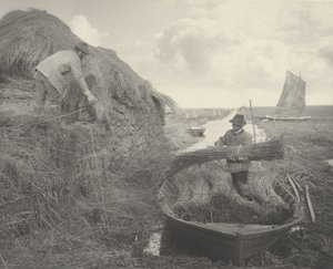 Apilando el junco de Peter Henry Emerson and T.F. Goodall