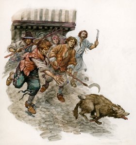 Persiguiendo a un perro salvaje por las calles