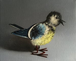 Herrerillo Común de Peter Jones