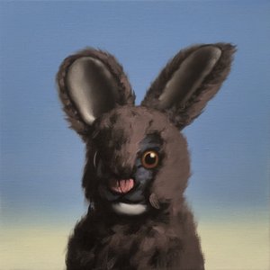 Conejo, 2017