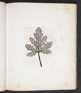 Impresión de la hoja
