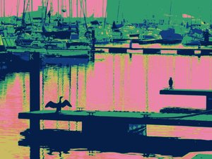 CORTEJO HARTLEPOOL, 2014