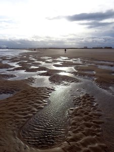 Marea baja Hartlepool, 2016