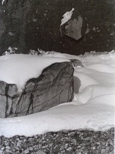 FOTO VINTAGE B&N No.3, 1985 de Peter McClure