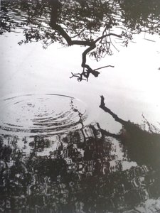 FOTO VINTAGE B&N No.5, 1986 de Peter McClure