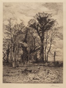 El borde del pantano de Peter Moran