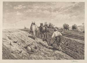 El labrador de Peter Moran