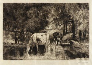 La piscina de Peter Moran