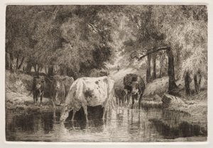 La piscina