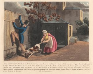 Uno de un juego de 6 (5): Diario de una esponja de Peter Pasquin