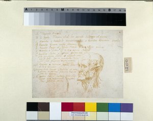 Cabeza de Ecorché, con los rasgos del Emperador Galba