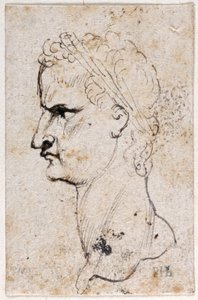 Cayo Calígula, de diez dibujos de ocho de los primeros doce Césares, después de las medallas de Giovanni da Cavino