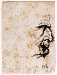 Galba, de diez dibujos de ocho de los primeros doce Césares, después de las medallas de Giovanni da Cavino