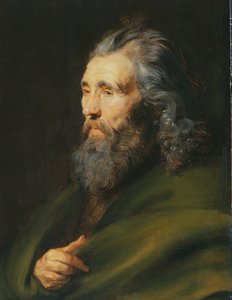 Estudio de cabeza de un hombre con barba, c.1617 de Peter Paul Rubens