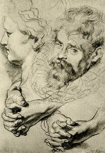 Estudios de cabeza y mano de Peter Paul Rubens