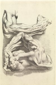 Músculos (grabado)