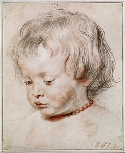 Retrato estudio de su hijo Nicolas de Peter Paul Rubens